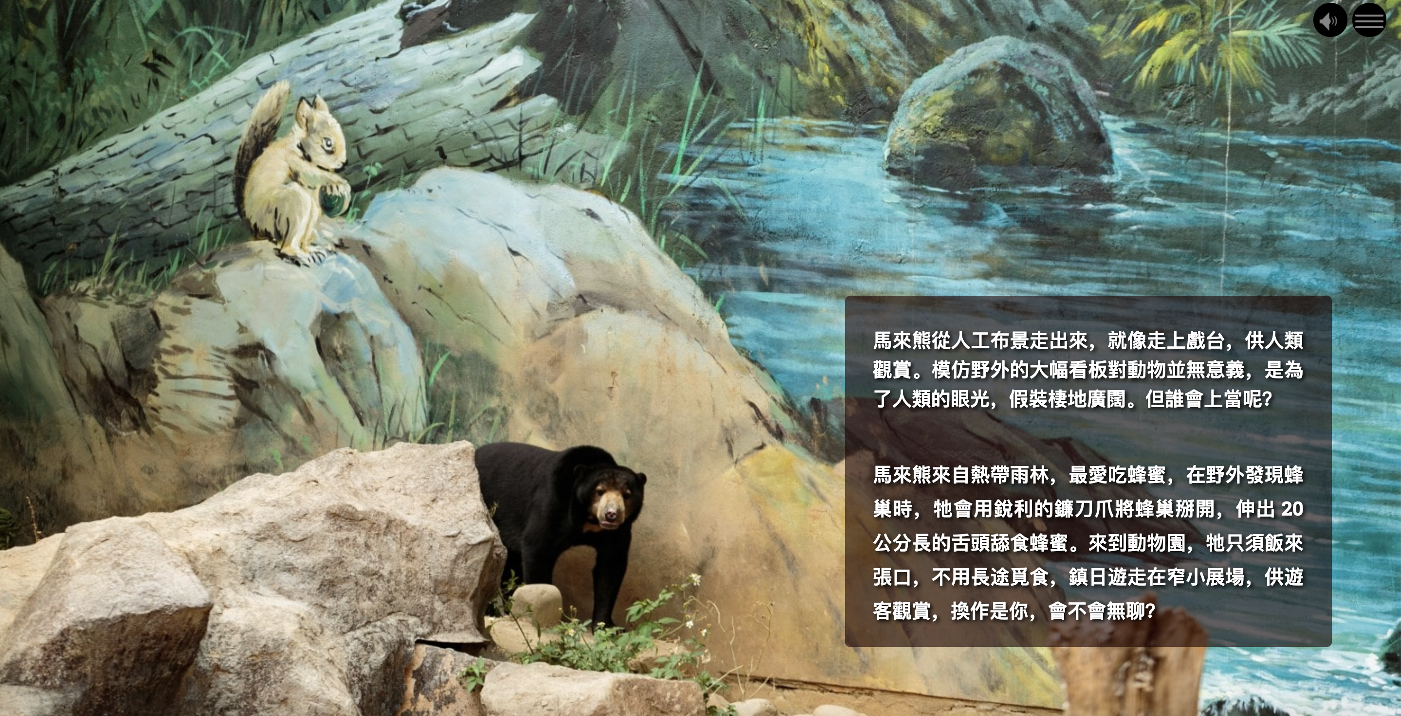 Mural&#39;s Image Background item on desktop