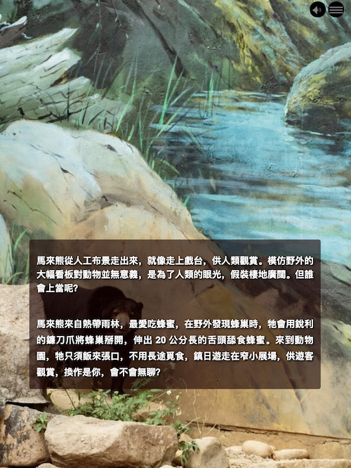 Mural&#39;s Image Background item on tablet